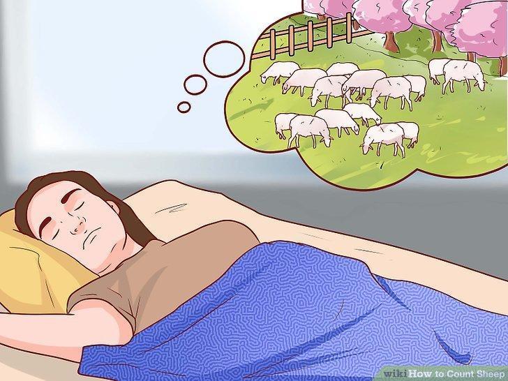 How to Count Sheep