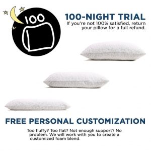 Shredded Memory Foam Pillow