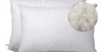 Extra Soft Down Pillow For Stomach Review