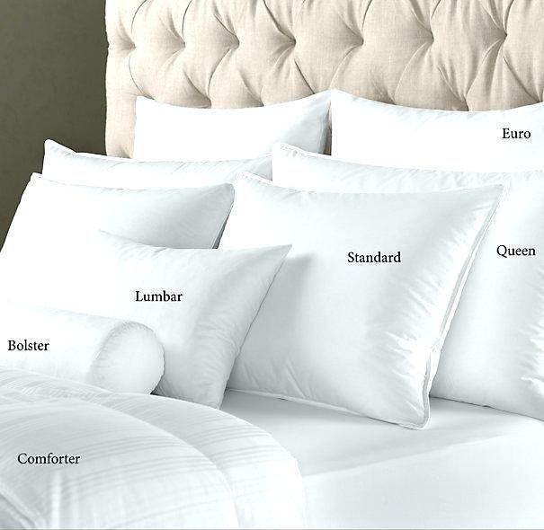 Euro Pillow Size Guide to Pillow Sizes Updated September 2024