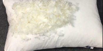 How to Wash Feather Pillows 01/2025