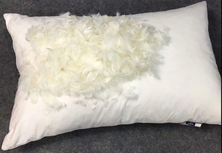 How to Wash Feather Pillows August 2024 Everyone can do