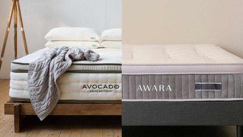 awara-vs-avocado.jpg