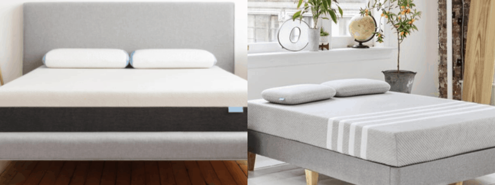 Bear vs Leesa Mattress Comparison Guide Updated 2024