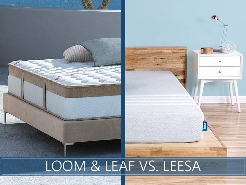 loom and leaf versus leesa