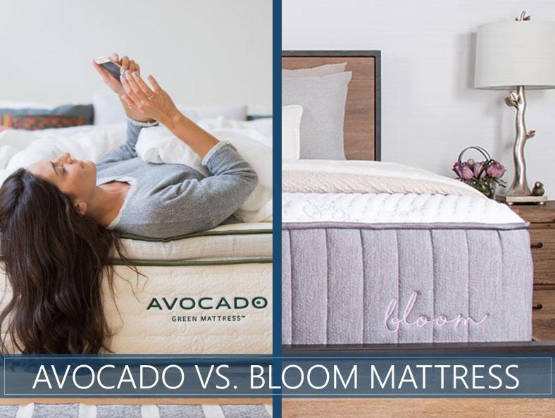 avocado-vs-bloom-hybrid.jpg