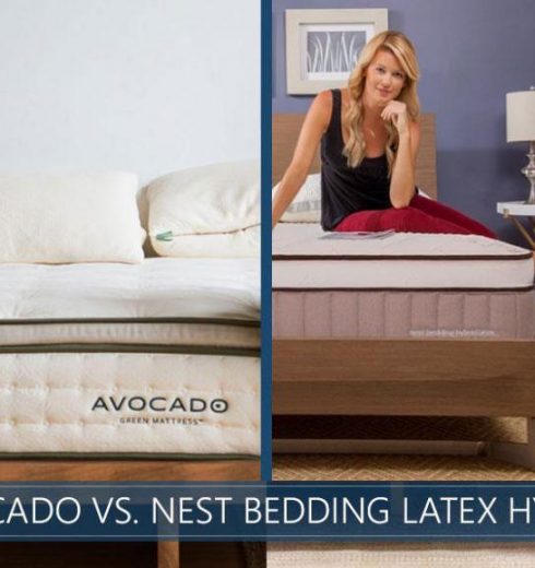Avocado vs. Nest Bedding Latex Hybrid Mattress Comparison