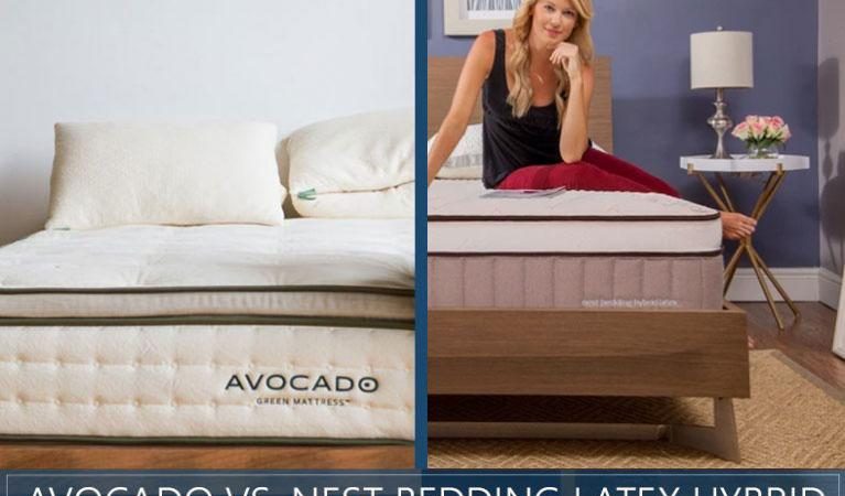 Avocado vs. Nest Bedding Latex Hybrid Mattress Comparison