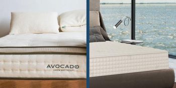 Avocado vs. Plushbeds Mattress Comparison