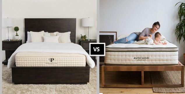 avocado-vs-plushbeds.jpg