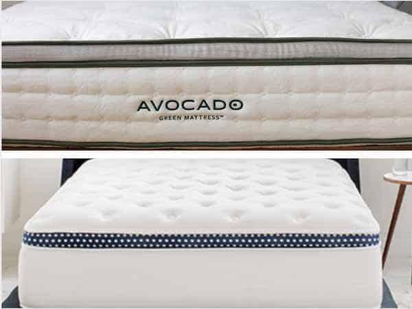 avocado-vs-winkbed-2.jpg