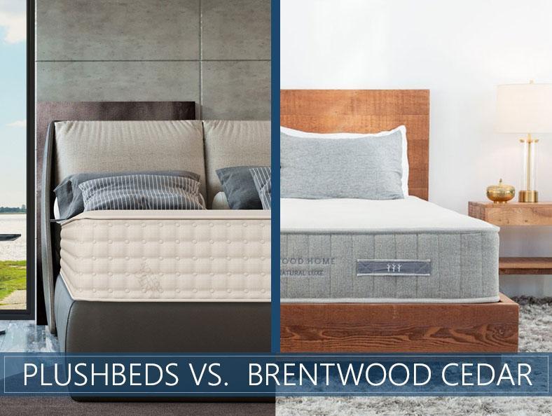 plushbeds-vs-brentwood-cedar.jpg