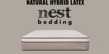 Plushbeds vs. Nest Bedding Latex Hybrid Mattress Comparison