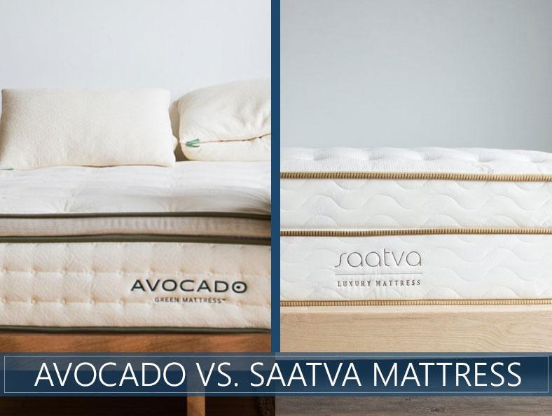 saatva-vs-avocado.jpg