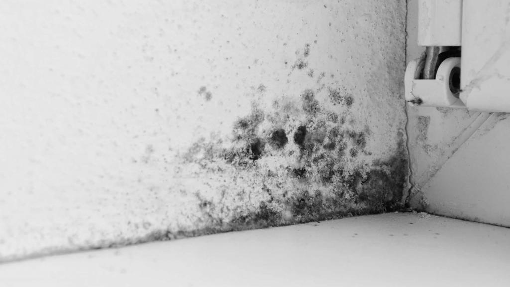 How to get rid of mould for good | AXA UK