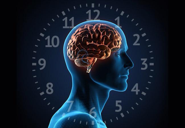 Circadian Rhythm Research Earned the 2017 Nobel Prize. What's the Upshot for the Sleep Disorders Field? – Consult QD