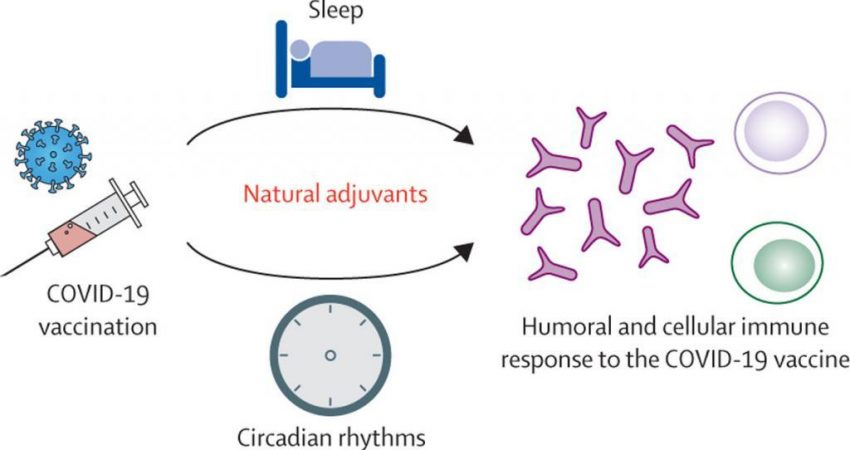 The Connection Between COVID-19 Vaccines and Sleep