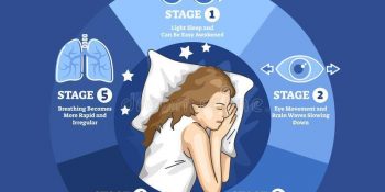 The Stages of Sleep: What Is the Sleep Cycle?