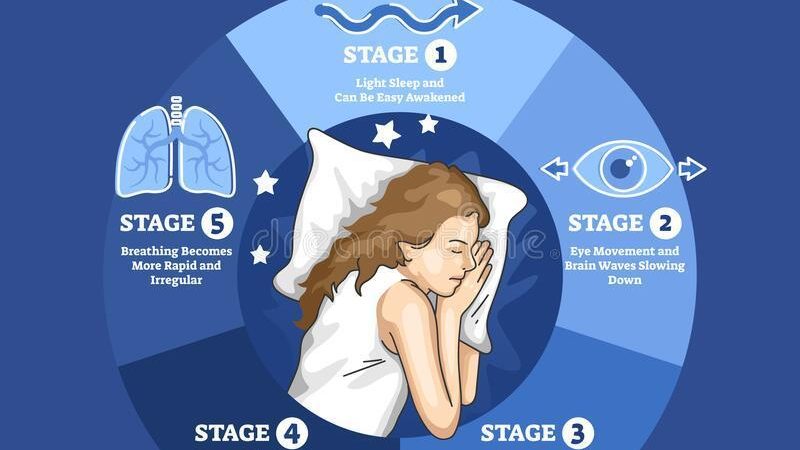 The Stages of Sleep: What Is the Sleep Cycle?