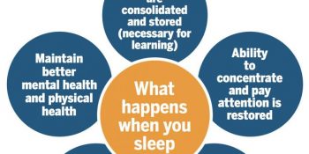 Why do we sleep? What Happens When You Sleep?