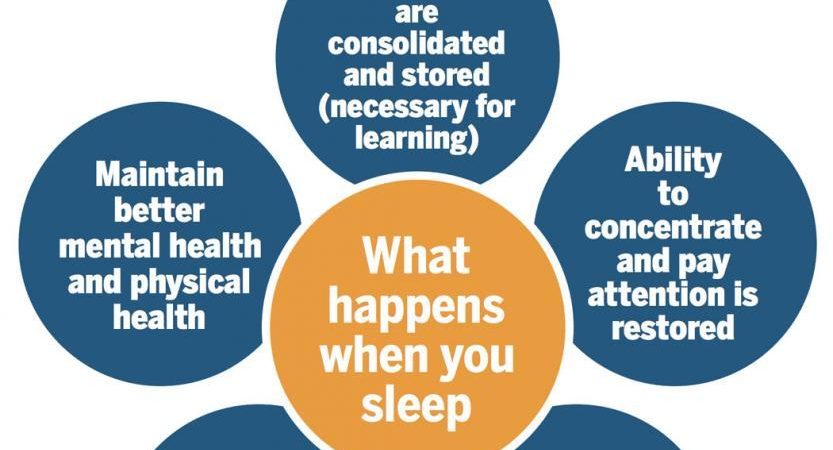 Why do we sleep? What Happens When You Sleep?