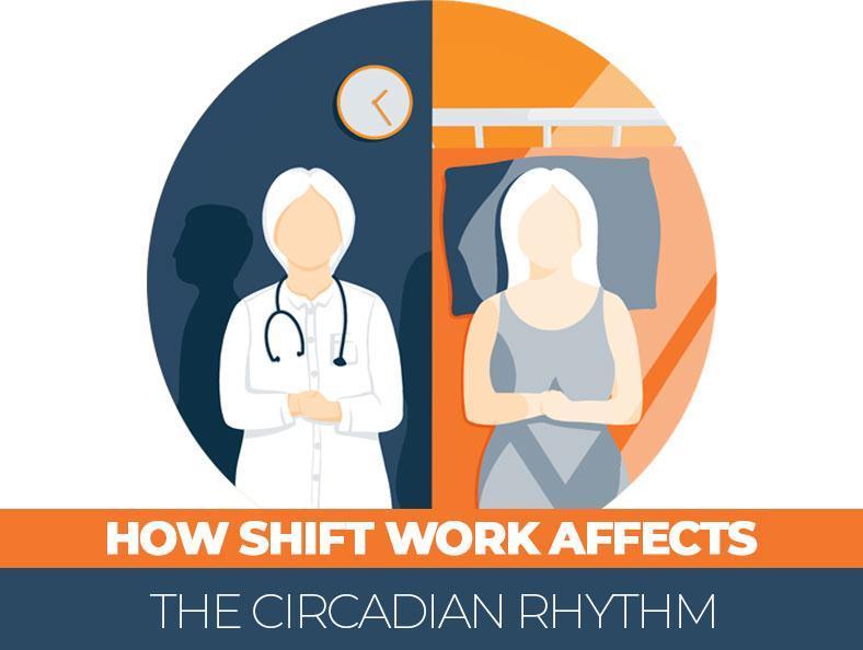 How Shift Work Affects the Circadian Rhythm | Sleep Advisor