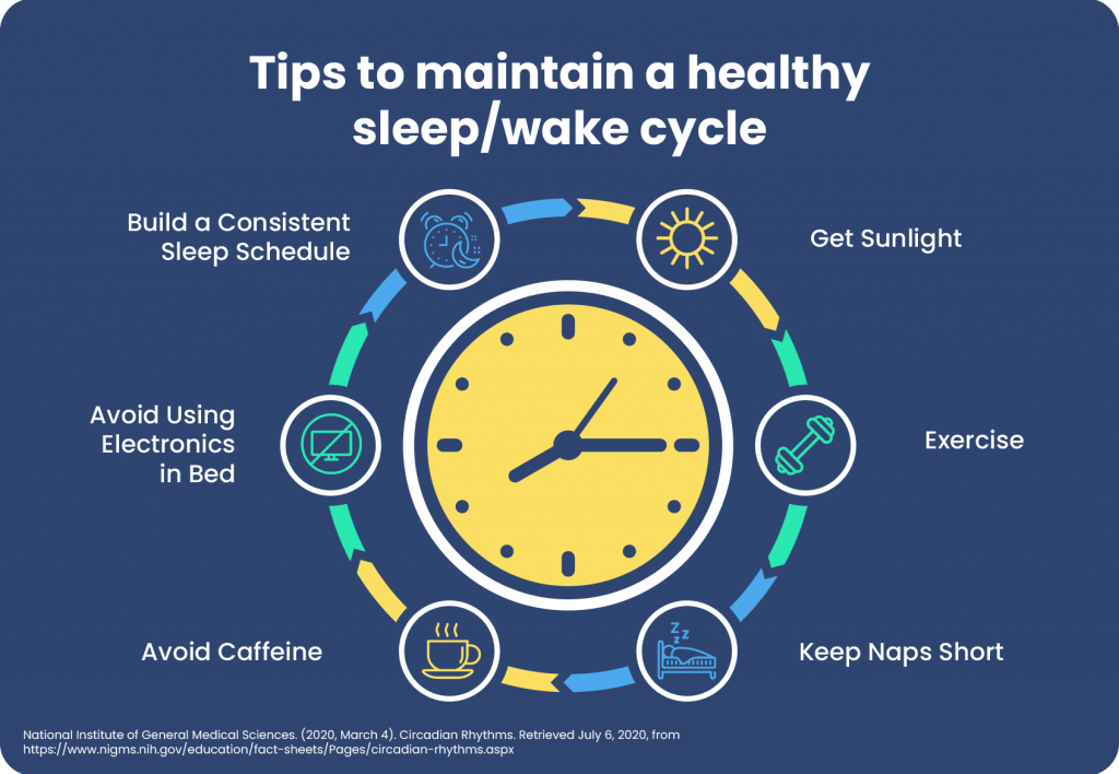 Clock visual displaying a schedule of things to do throughout the day to maintain a healthy sleep/wake cycle