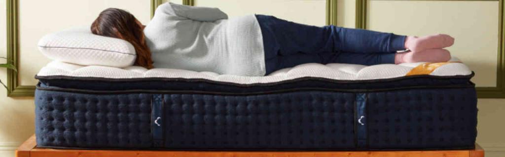 Plush Mattress Reviews: Best 2022 Brands Ranked (Top 9)