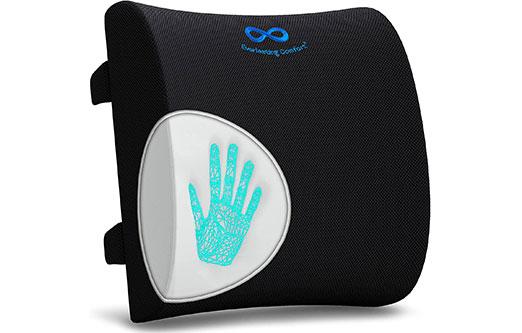 Everlasting Comfort Lumbar Support Pillow