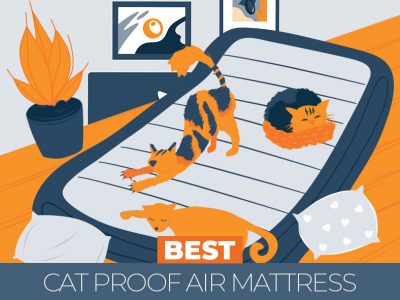 Ultimate Guide to Choosing a Best Cat Proof Air Mattress