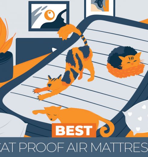 Ultimate Guide to Choosing a Best Cat Proof Air Mattress