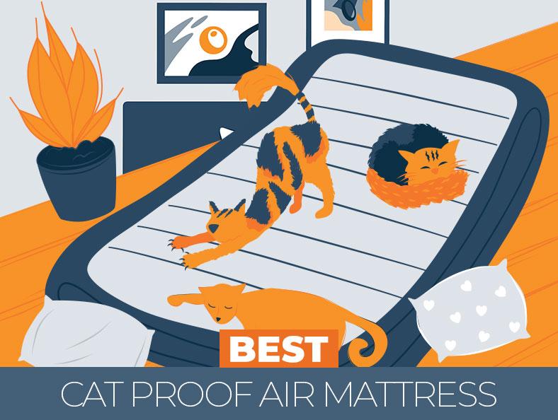 Best Cat Proof Air Mattress - Updated Reviews for 2022