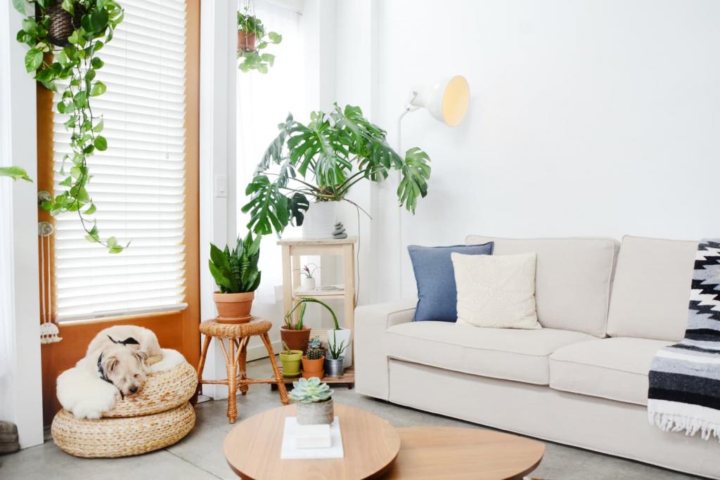 How to Buy a Sleeper Sofa: Expert Guide to Styles, Sizes, Fabrics & Stores | Apartment Therapy