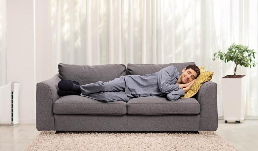 5 Most Comfortable Sleeper Sofa Within Your Budget - Terry Cralle